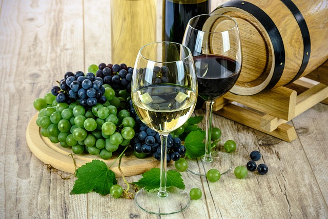 Conoscevi i 4 migliori vini molisani? Ecco quelli da provare tra bianco e rosso