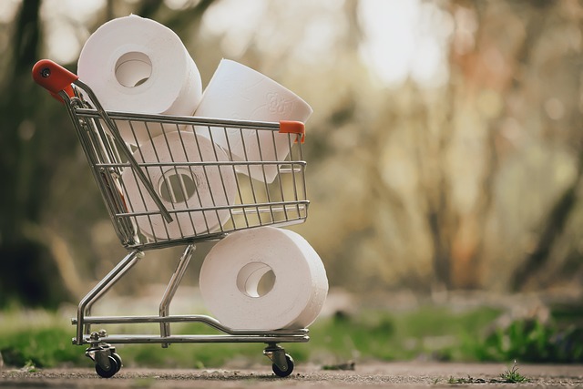 Sai dove mettere la carta igienica in bagno? Ecco 6 idee creative