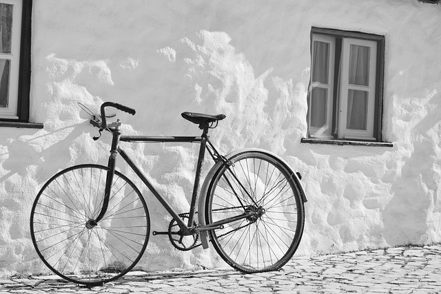Come misurare il pH del terreno? È fondamentale per coltivare piante e ortaggi