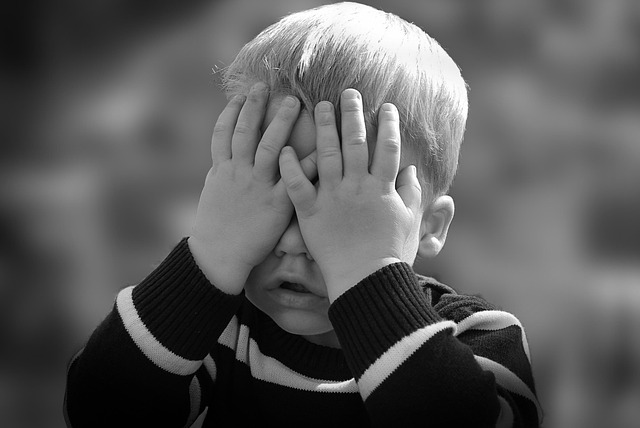 Comodante e comodatario, i diritti e i doveri che devono rispettare Comodante e comodatario, i diritti e i doveri che devono rispettare