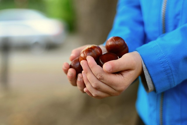 7 fughe di fine ottobre tra castagne, vigne e feste d’autunno 7 fughe di fine ottobre tra castagne, vigne e feste d’autunno