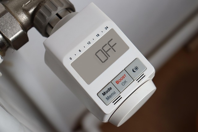 Come regolare il flusso dello sciacquone e risparmiare sulla bolletta Come regolare il flusso dello sciacquone e risparmiare sulla bolletta