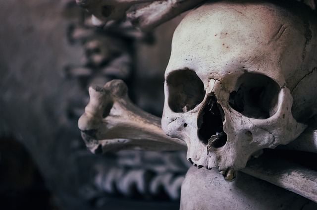 I castelli più belli da visitare per Halloween in Italia I castelli più belli da visitare per Halloween in Italia