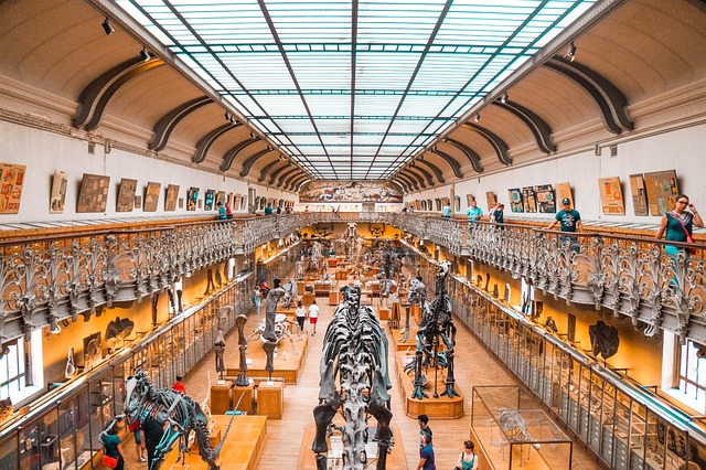 Pietraroja, il borgo dove il dinosauro Ciro ha cambiato la paleontologia